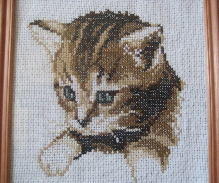 IMG_0214 (700x587, 511Kb)