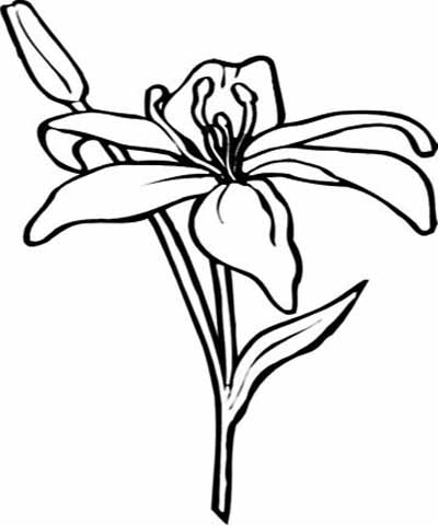 flower-coloring-pages-22 (400x480, 67Kb)