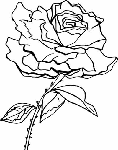 flower-coloring-pages-104 (400x508, 99Kb)