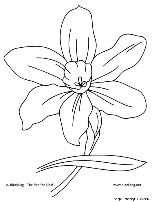 flower02 (525x700, 109Kb)