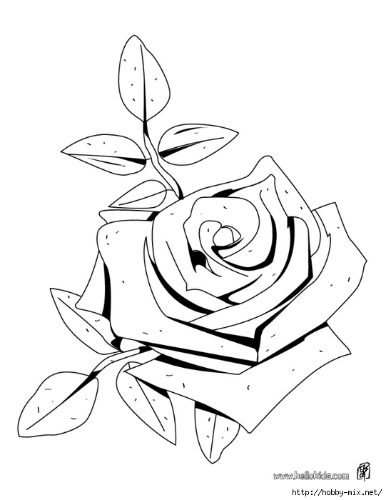 rose-coloring-page-source-e93 (541x700, 117Kb)