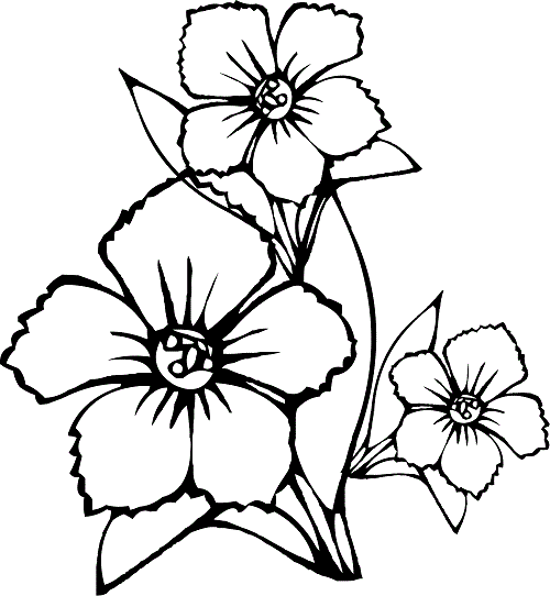 awesome-for-print-flower-coloring-pages-ideasl-for-beloved-kids (500x542, 16Kb)