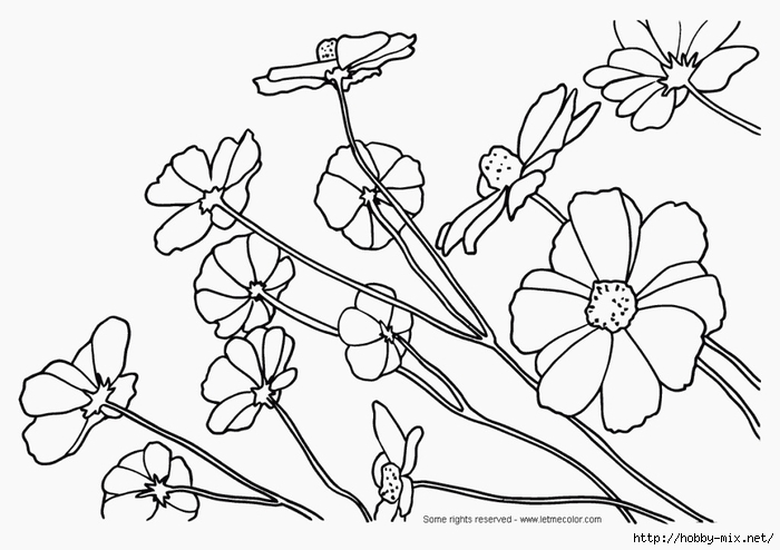 flower-coloring--printable-sheets-1024x723 (700x494, 161Kb)