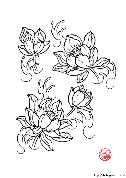 newest-lotus-flower-by-laranj-dztyp (495x700, 140Kb)