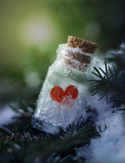 frozen_heart_by_lieveheersbeestje-d4oxqf6 (500x650, 326Kb)