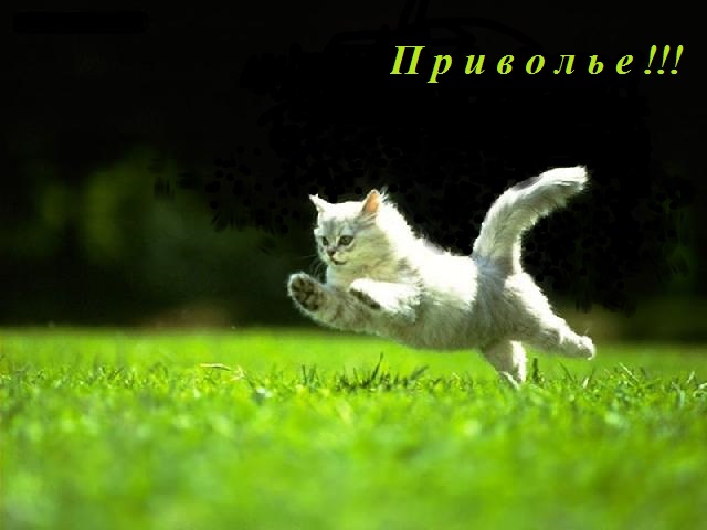 05... 1 (640x480, 57Kb)