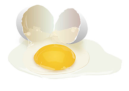 5634172_eggs (425x300, 10Kb)