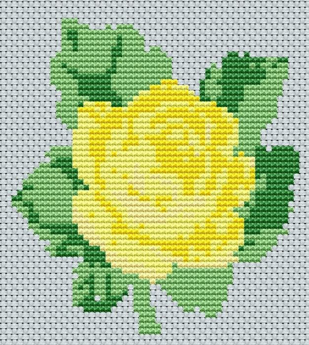 желтая роза (627x700, 652Kb)
