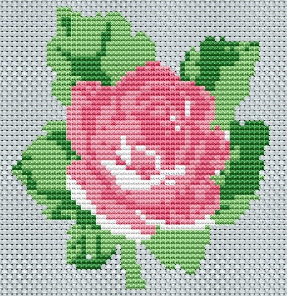 картинка розовая роза (580x598, 573Kb)