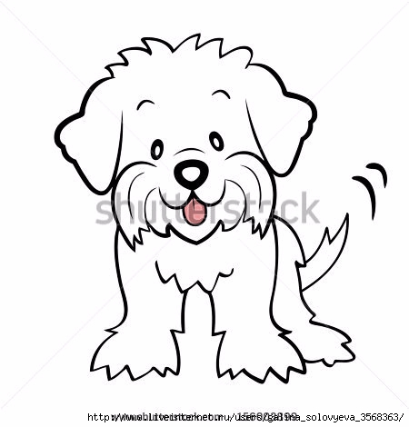 stock-photo-puppy-cut-maltese-isolated-156003899 (450x470, 71Kb)