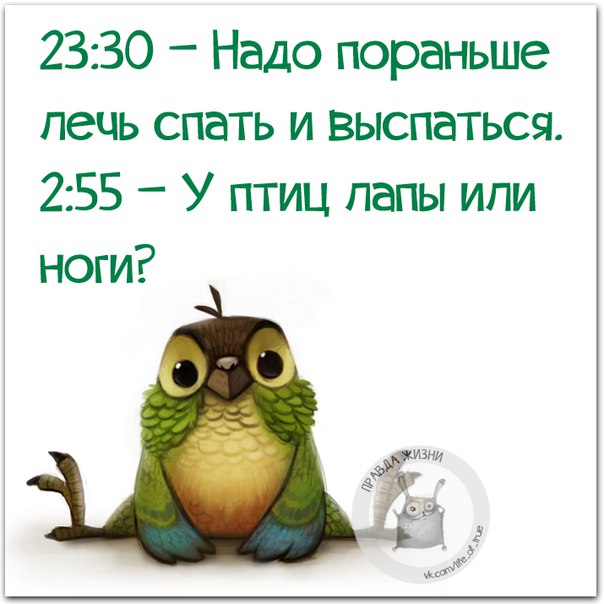 Как лечь пораньше спать картинки прикольные