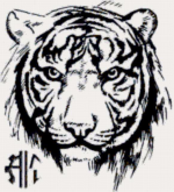тату тигр 16цв (581x640, 279Kb)