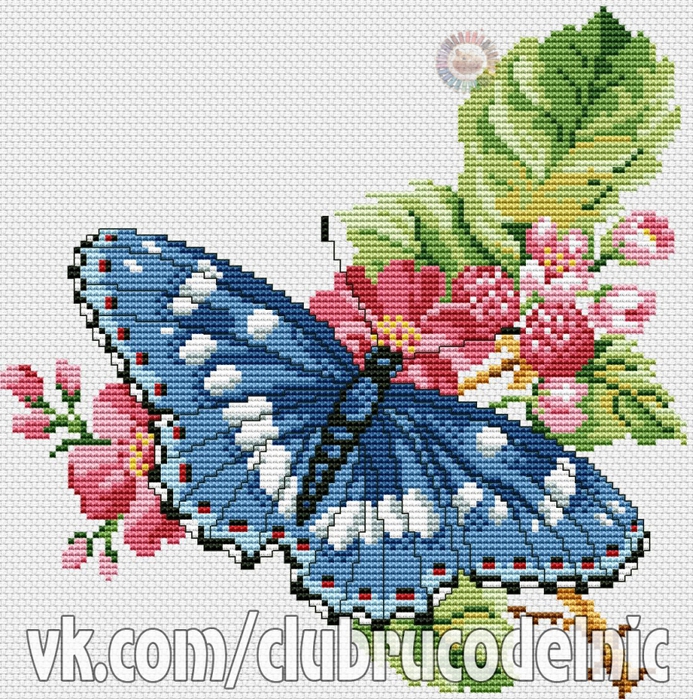 5630023_Butterflies (693x700, 481Kb)