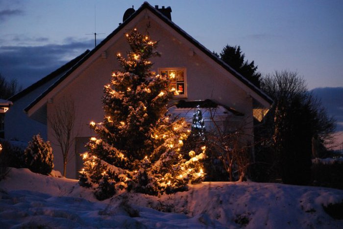 3303834_christmas_tree_10 (700x468, 61Kb)