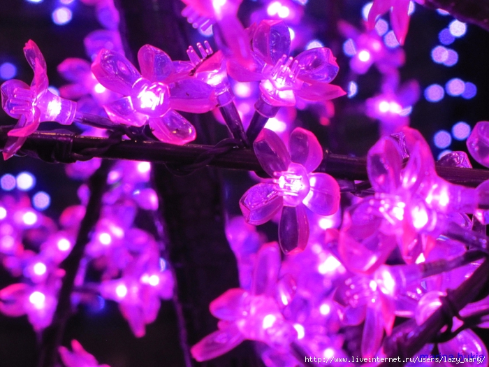IMG_0053 (700x525, 310Kb)