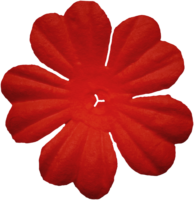 lliella_PurrfectlyFuzzy_flower7 (658x679, 402Kb)