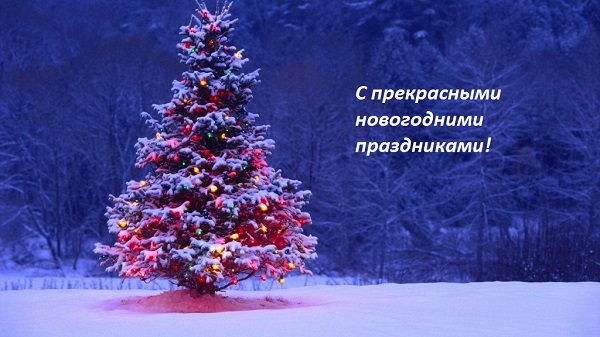 merry-christmas-2015-greetings-1024x576 (600x337, 86Kb)