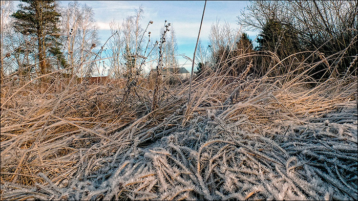  /3673959_2 (700x393, 237Kb)