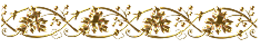 0 (260x42, 25Kb)