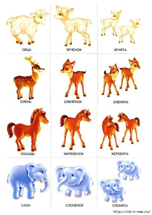 игры на множественное число детенышей животных x Игры на грамматический строй речи в детском саду