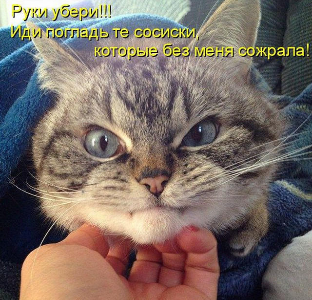 (640x614, 324Kb)