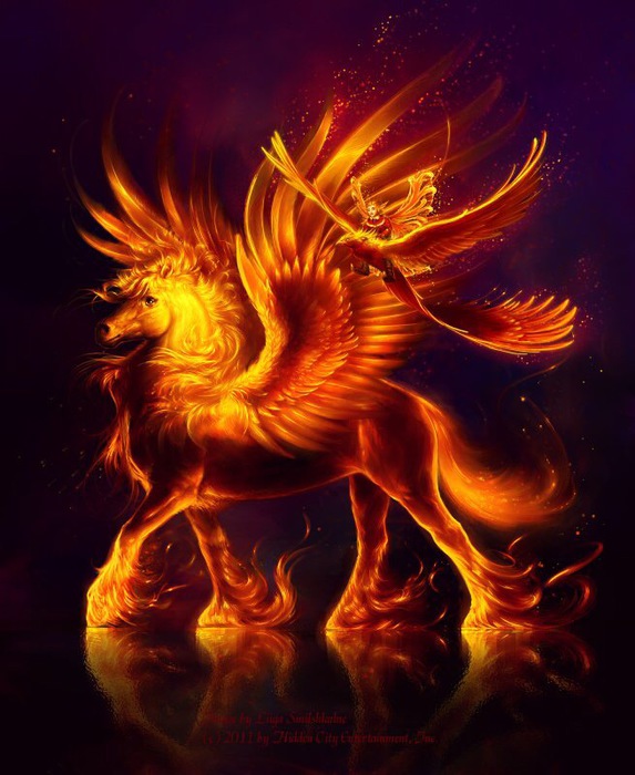 image (573x700, 107Kb)