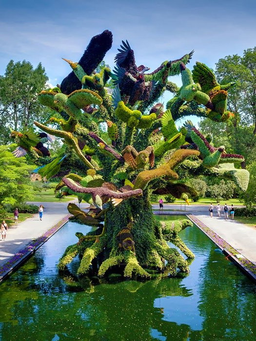 Montreal Botanical Garden, Canada 2 (525x700, 515Kb)