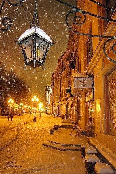 5361707_Zimnii_yut_gorodskih_fonarei4 (403x604, 83Kb)