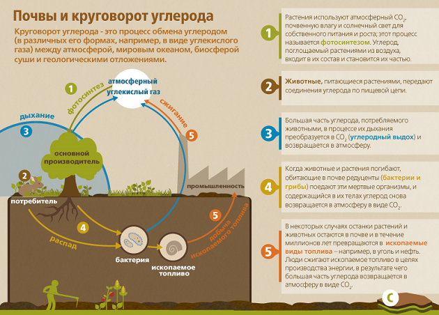 Невозобновляемые ресурсы фото