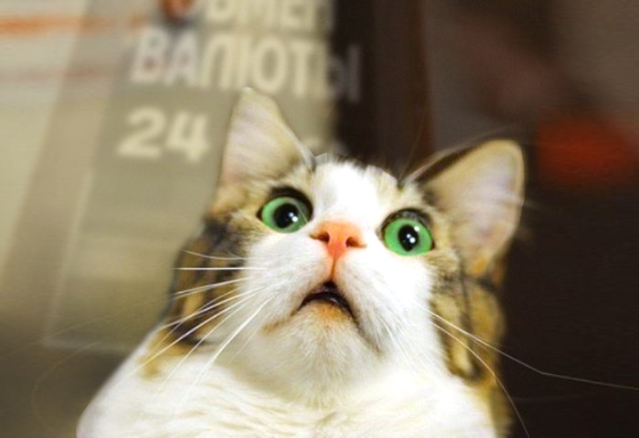  (700x479, 92Kb)