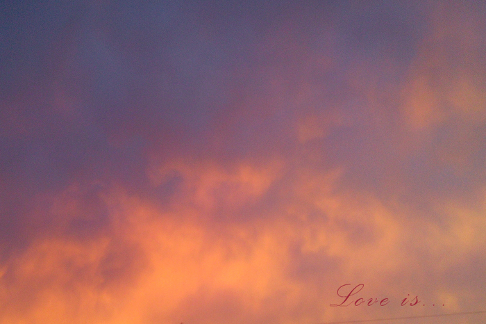 4052195_IMG_50431 (700x466, 294Kb)