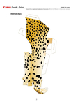  cheetah_e_a4_002 (494x700, 157Kb)