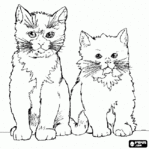  10-pisici-de-colorat (621x620, 13Kb)