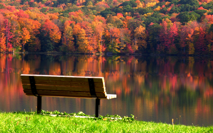 serene-bench-free-desktop-wallpaper-3840x2400 (700x437, 506Kb)