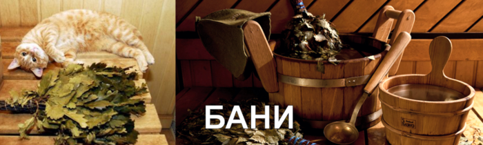 Banya1_ru.png.pagespeed.ce.6EphIYRZlo (700x210, 279Kb)