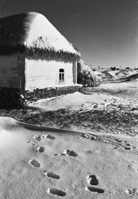 Советский Союз во время оккупации Фото Тамаш Конок 26 (485x700, 211Kb)