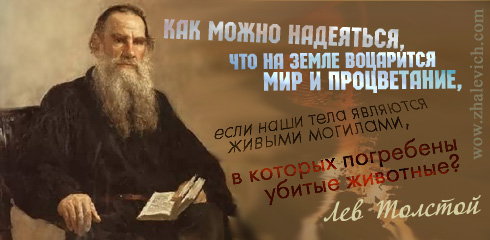 5561137_18levtolstoi (490x240, 49Kb)