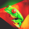 2245788_frog_49 (100x100, 35Kb)