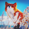 2245788_tumblr_mylwhrdDLB1rcvh74o1_1280 (100x100, 35Kb)