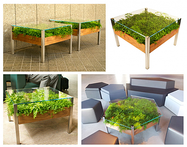 How-to-add-green-to-your-living-room-by-this-live-table-512x408 (600x473, 162Kb)