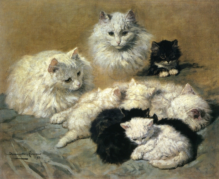 102180359_large_Cats_and_Kittens (700x573, 480Kb)