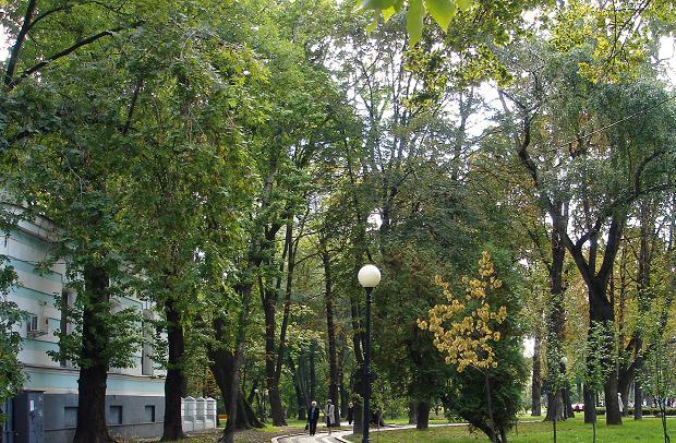 mariinsk_park_3 (620x406, 100Kb)