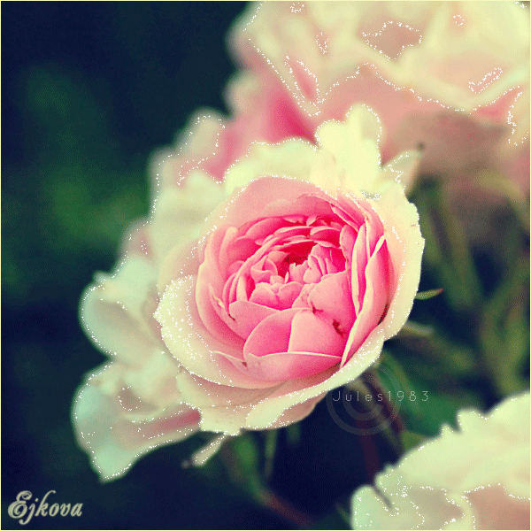 f1b9d16318829e112ffd7e4c632bc0b0 (300x300, 583Kb)