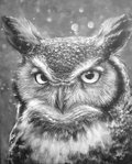  owl_painting_by_gimmegammi-d6nzv6o (563x700, 301Kb)