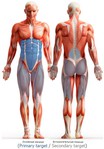 Упражнения для здоровой спины 3 минуты thumbnail
