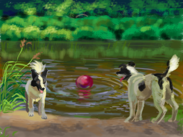 4150718_myachisobi (640x480, 1507Kb)