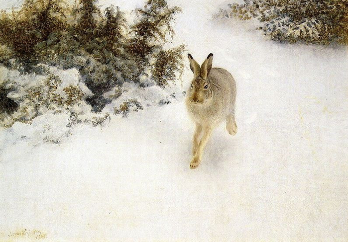 800px-Bruno_Liljefors_-_Winter_Hare (700x487, 394Kb)