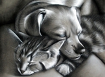  roxy_and_dash___charcoal_commission_by_secrets_of_the_pen-d64l421 (700x515, 283Kb)
