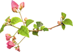 0_89c20_a86fe25a_S.jpg (150x106, 18Kb)