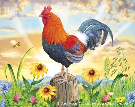 4964063_113529503_large_Rooster_at_Dawn72 (432x341, 156Kb)